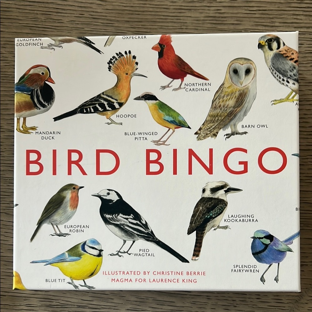Bird Bingo Game by - Multicolor